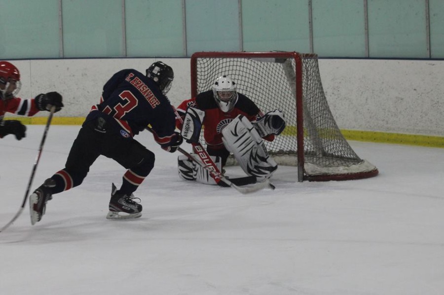 Hockey team skates to victory