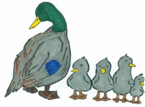 Cutout ducks (Small)