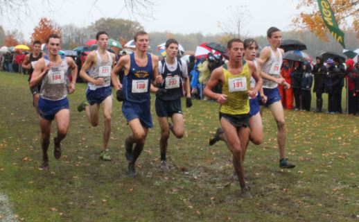 The boys cross country team won Sectionals and qualified their entire team to IHSA State Finals next weekend. Matt Pereira, Kyle and Brian Griffith led to a team victory placing first, fourth, and fifth respectively. 