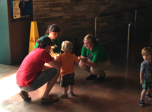 Neenan, far right, is showing a boy a bear claw and telling the family about polar bears while volunteer Kimberly, also in green to the left, holds a skull of a small bear.