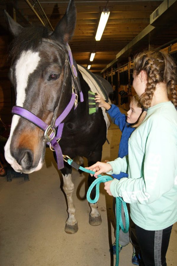 Lizzie Kalafut, freshman, helps a rider at Partners for Progress brush his horse. Kalafut started volunteering last winter because of her love for kids and horses. 