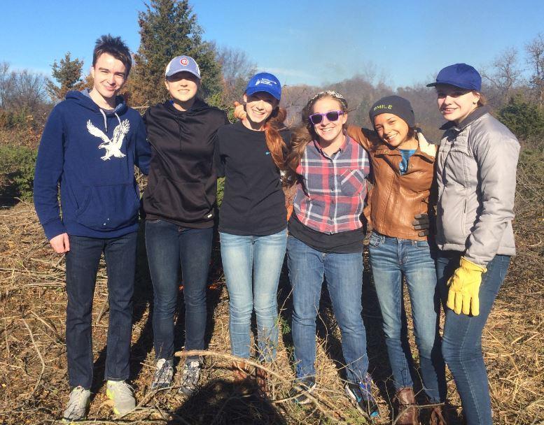 REACT club volunteering at Cuba Marsh by removing invasive species.