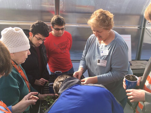 The Master Gardeners from the University of Illinois Extension Program come in twice a week to teach students about gardening.  Transitions Students are learning how to maintain a garden with the addition of the greenhouse.