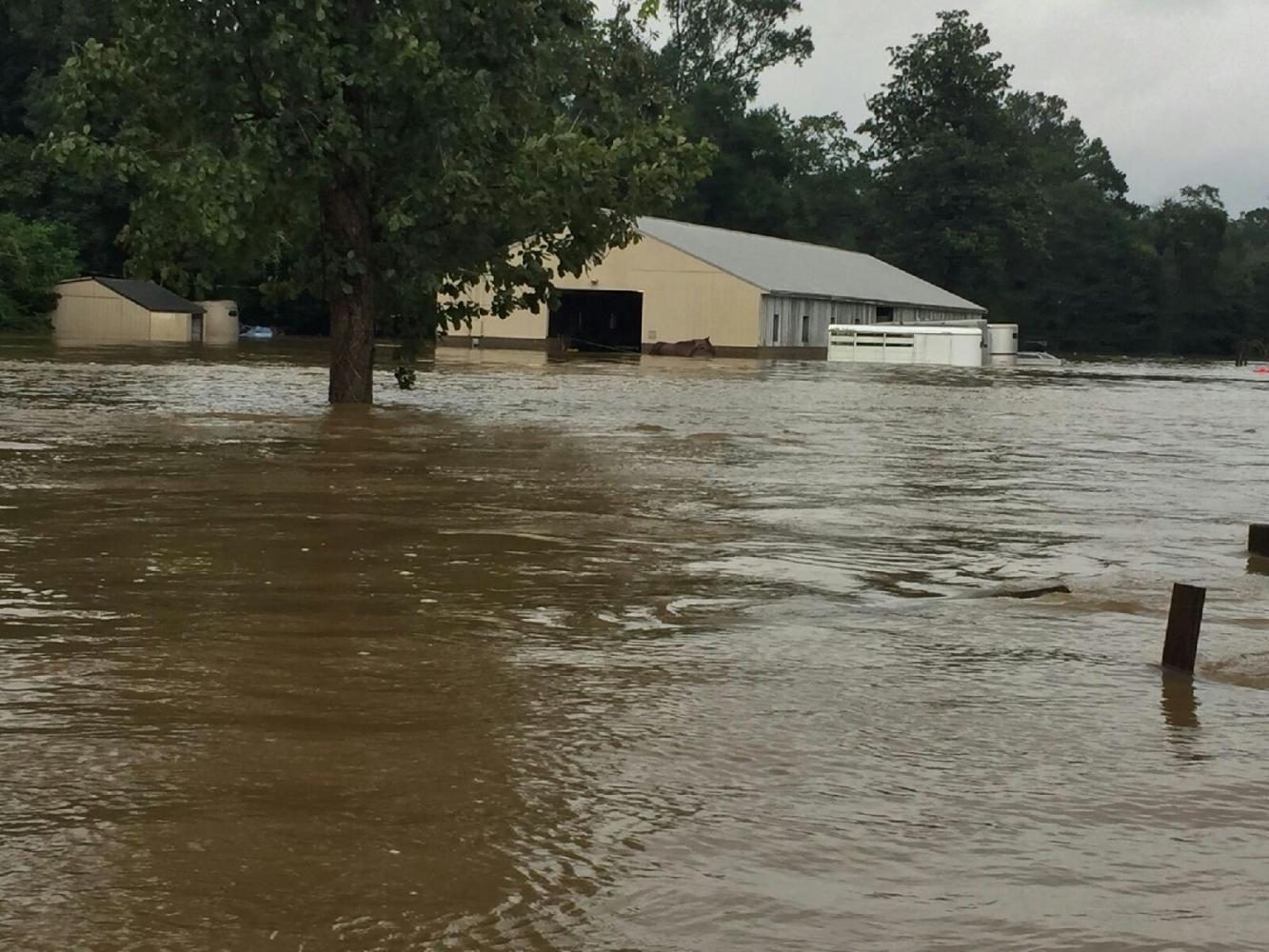 Building+under+the+flooding