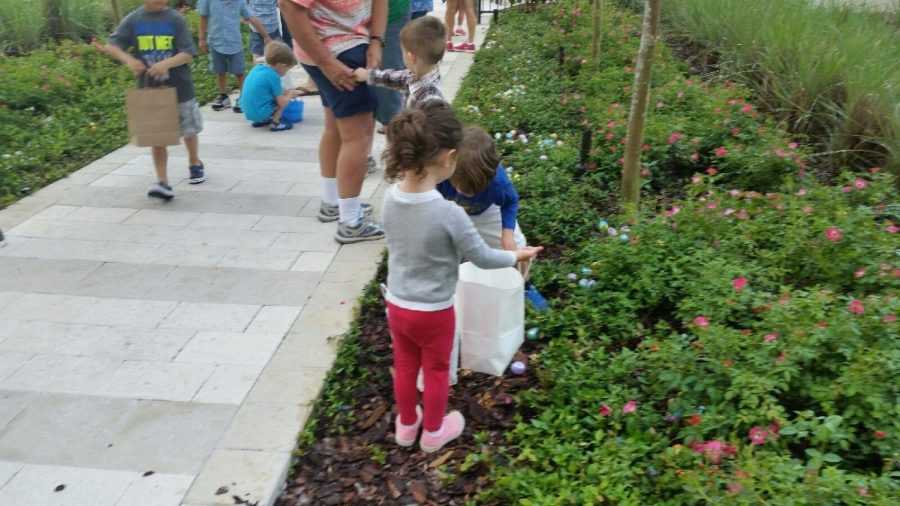 Local kids participate in an Easter egg hunt. NHS volunteers will be helping out at this year’s Bunny Brunch and Egg Hunt, held at Paulus Park.