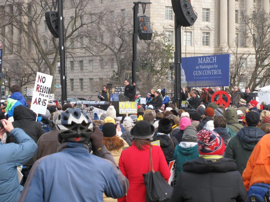 Protesters stand during last years March on Washington for Gun Control. Next Wednesday, LZHS students will walk out of school to stand in solidarity with the 17 victims of the Parkland shooting.