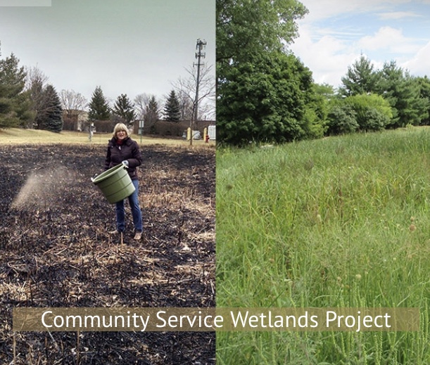 Judi Thode, president of Ancient Oaks Foundation, pictured with the before and after of the Lake Zurich wetlands with work done by the Ancient Oaks Foundation (AOF) and volunteers. 