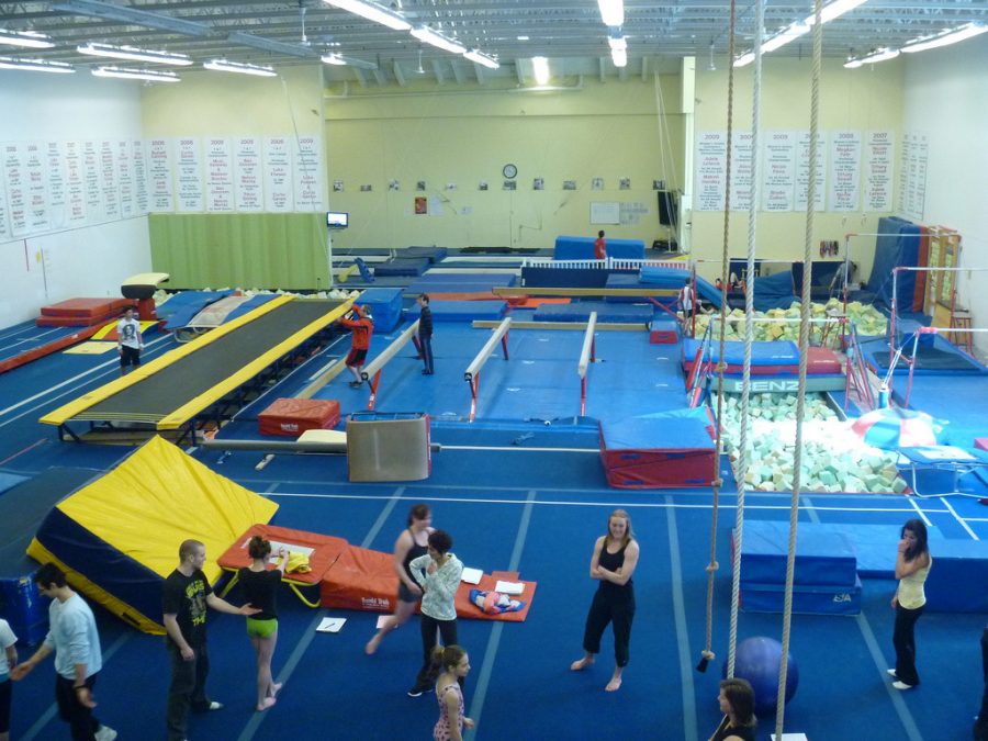 Gymnastic ninjas: seniors part time job teaches respect through discipline