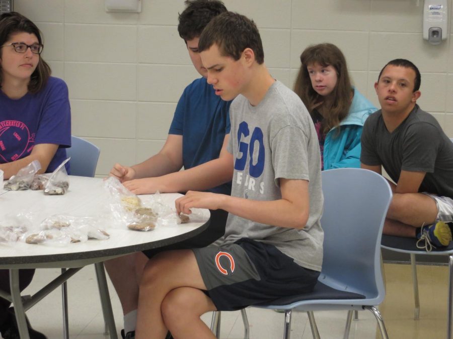 Andrew Koppel, 18-year-old Transition student​, sells baked goods at the sale. Koppel is just one of the Transition students who enjoys the bake sale.