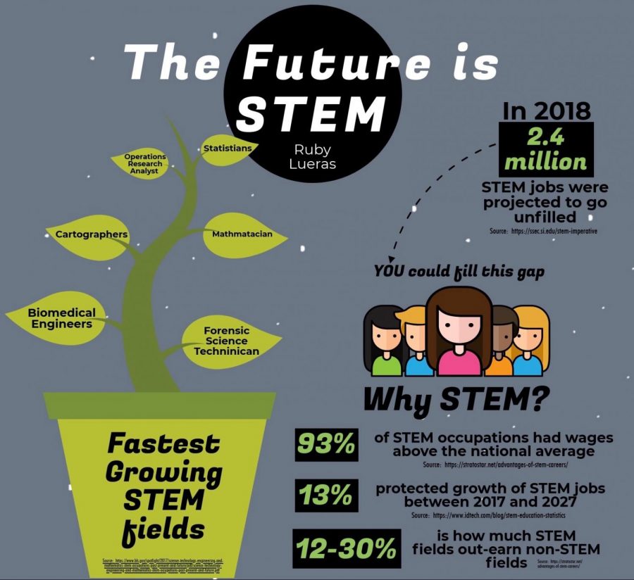 An overview on the growing field of STEM. Seniors, Lauren Babb, Elana Kraversky, and Tiffany Yen are all planning on contributing their time to the ever growing STEM field.