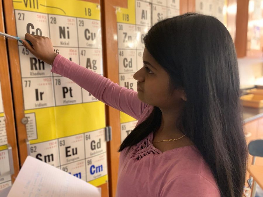 Nithila Kannan, sophomore and science team member, reviews the periodic table for the upcoming regional competition this Friday. The team has been studying concepts such as this since October in preparation for Fridays event.