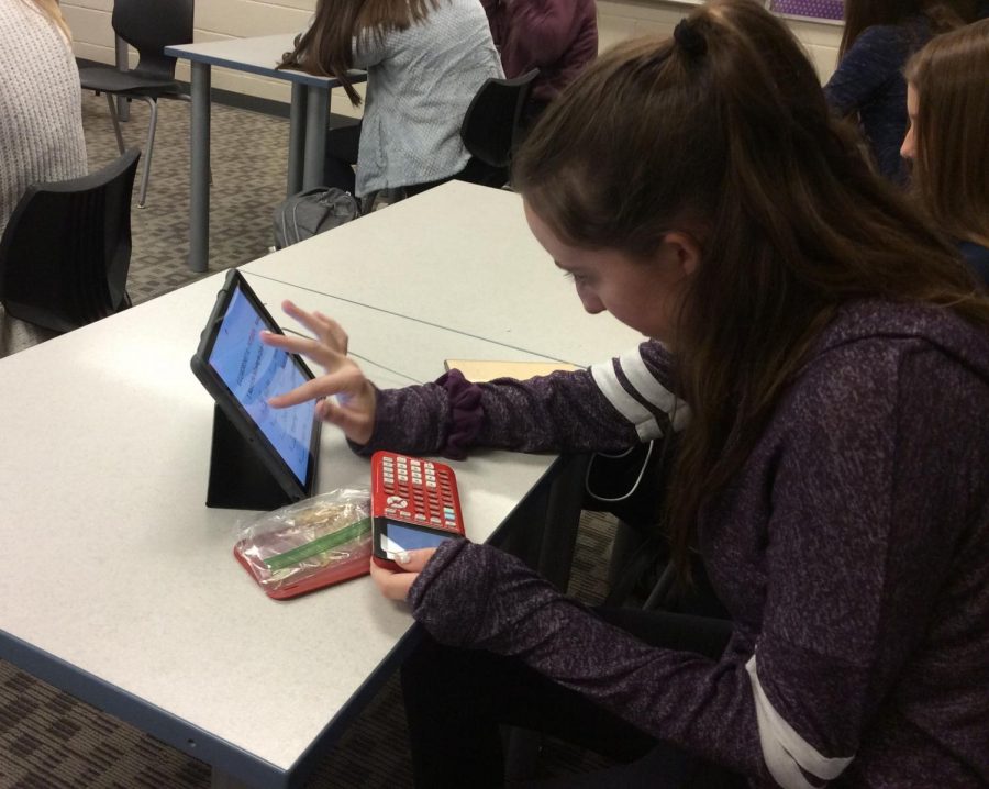 Samantha Cranstoun, freshman, tries to incorporate both left and right brain activities into her daily routine. She often spends time doing math to grow her left brain. 