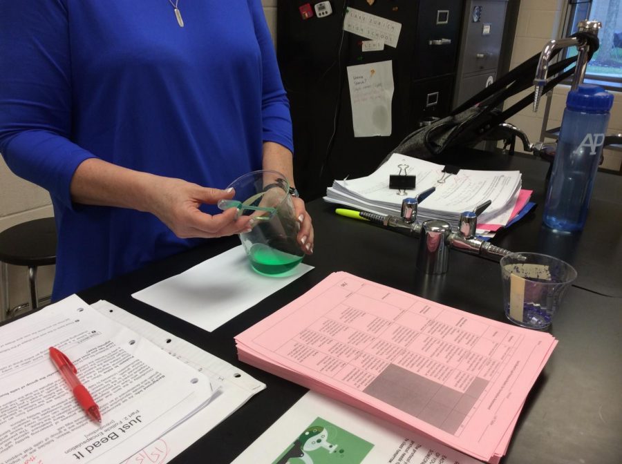  Anne Hopkins, biology teacher, believes that it is important to collaborate and share ideas with people that don't predominately use the same side of the brain  as her. 