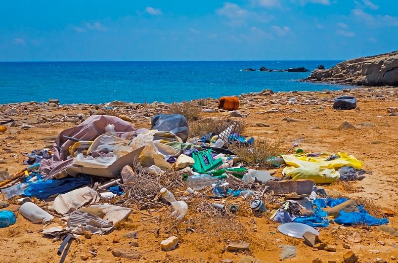 Plastic and other trash sits on a waste beach. Scientists estimate that by 2050 there will be more plastic in the ocean than fish, but how can we as teens even help change this?