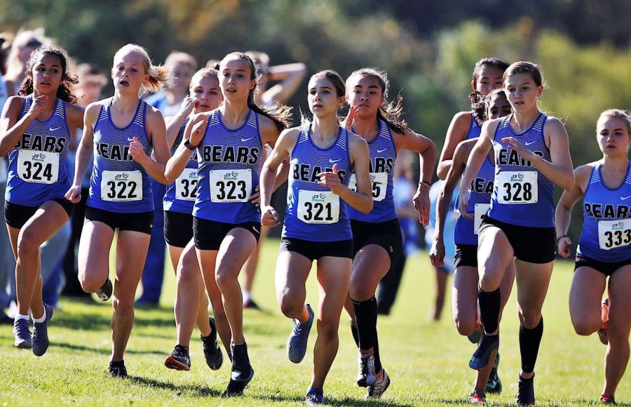 Cross country is one of the many fall sports coming to an end. This year, the girls team was able to send Brooke Johnston, freshman, to state individually, while the boys team qualified as a team.