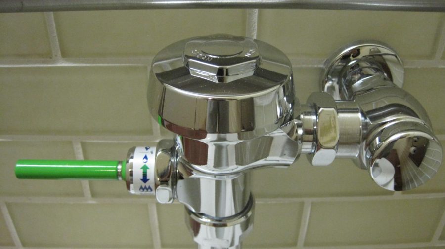 A dual-flush toilet handle.  Although these types of handles can save the district money on their water bills, the costs of having them installed is also a major factor.