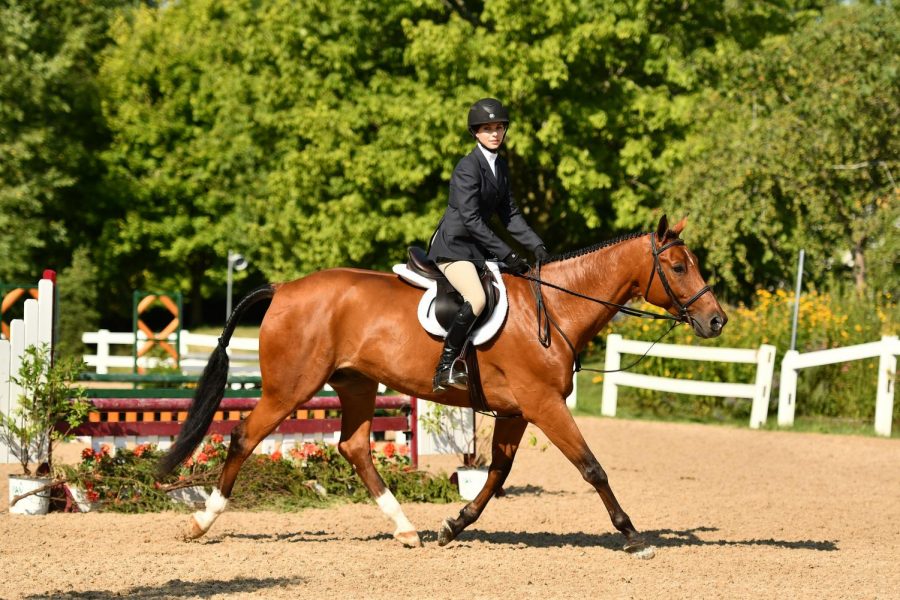 Sallie+Gutt%2C+senior%2C+rides+her+horse%2C+Mattie.+Gutt+said+although+she+grew+up+with+an+allergy+to+horses%2C+she+didnt+let+that+stop+her+from+pursuing+her+passion.