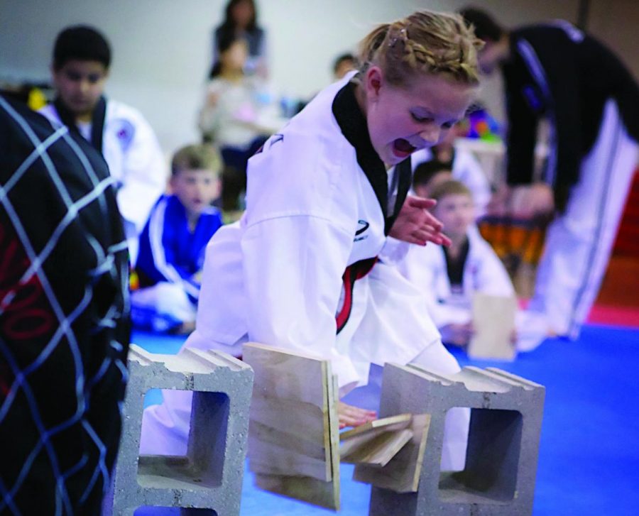 Sibigtroth breaks bricks while testing for a belt. Testing is required in order to advance.