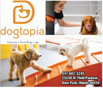 Advertisement