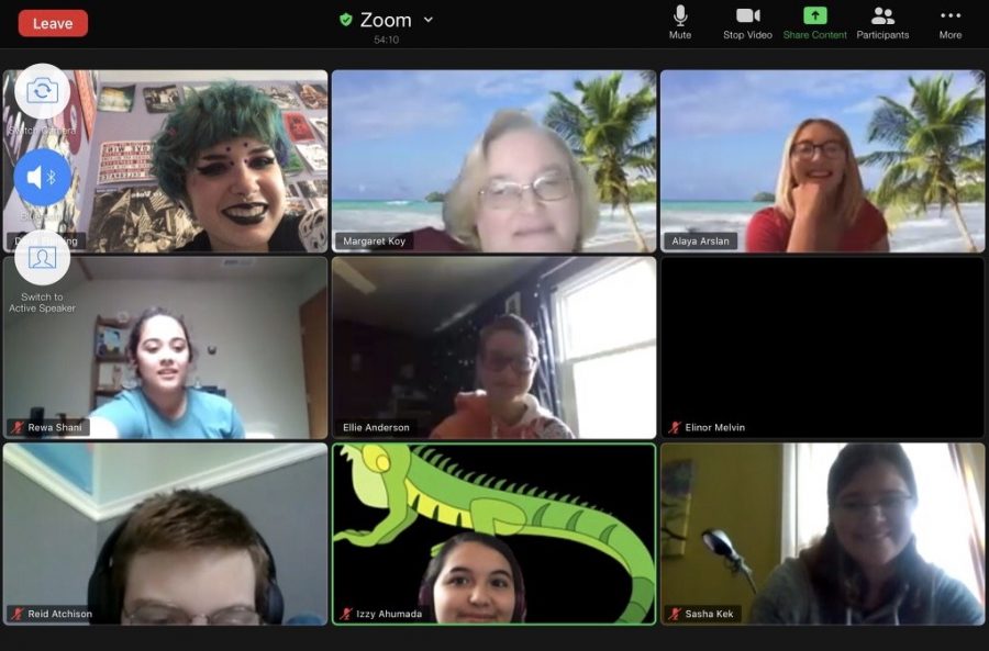 GSA/Spectrum meetings are held over zoom as clubs shift to remote meeting.