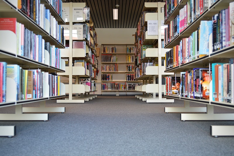 Rows and rows of books to choose from, but how? LZHS English teachers have pages of advice.