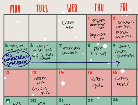This was my calendar for the week of the challenge. Although I had many assignments and tests, not complaining so much helped to ease some of the stress that I felt, as I stopped focusing on only the negative aspects of my life.