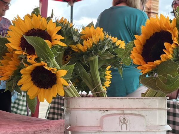 Lake Zurichs annual Farmers Market is back once again. This event offers a mass variety of stores to explore and shop from. 