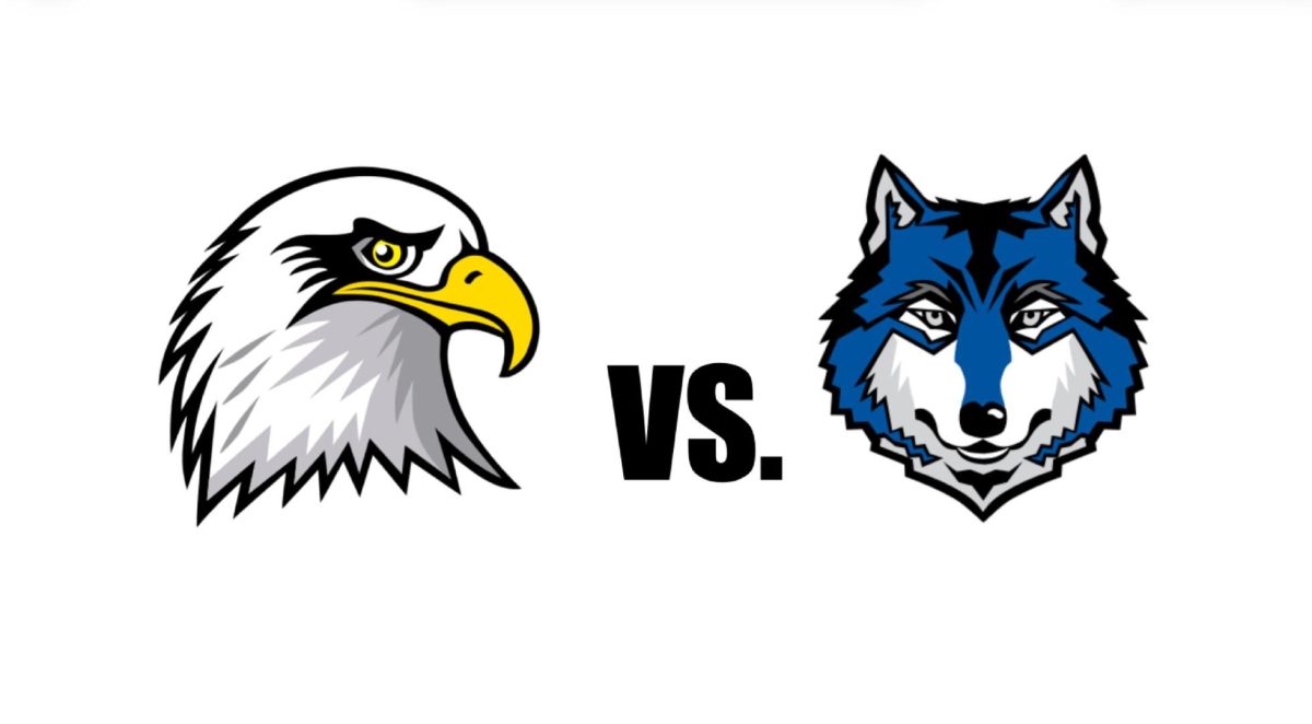 Before+becoming+bears%2C+students+at+LZHS+are+divided+as+MSS+eagles+and+MSN+wolves.+How+much+this+divide+affects+LZHS+students+is+debatable.