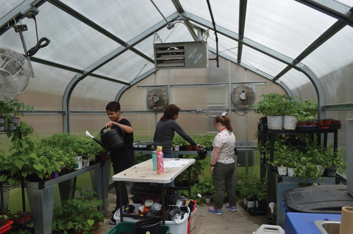 Transition students work at the greenhouse located at LZHS. The transition students use the greenhouse to set up a plant sale, which was one of the reasons that District 95 won the US Department of Education Green Ribbon Schools Award.