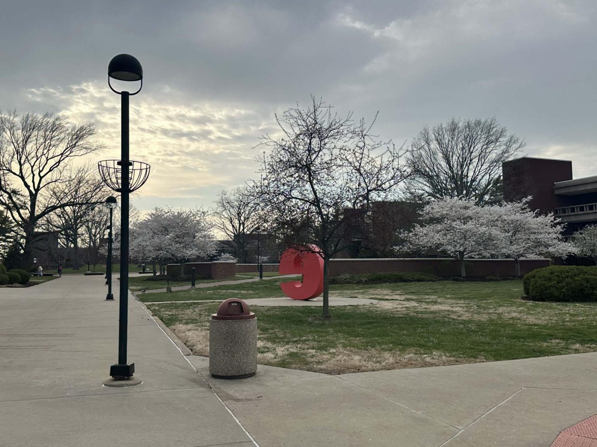 A photo of SIUE's campus and the 'e' that they have near the quad.  It is a notable landmark on campus.