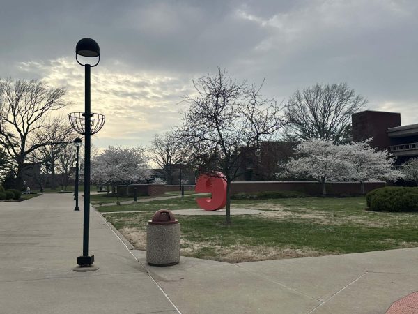A photo of SIUE's campus and the 'e' that they have near the quad. It is a notable landmark on campus.